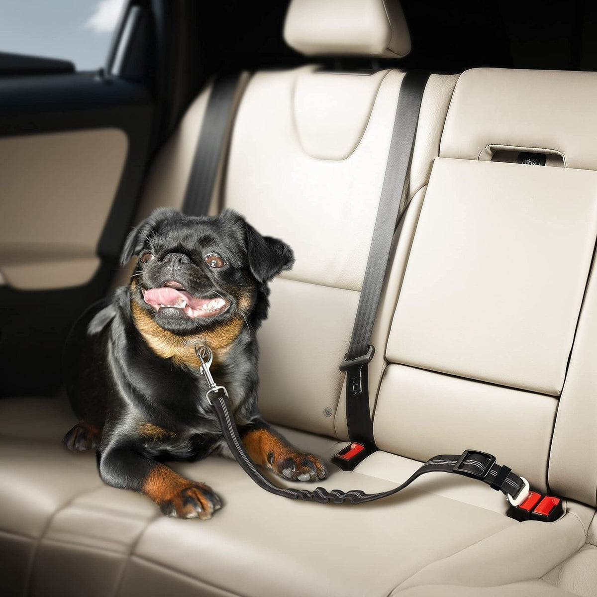 Vorlia · Cinturón de seguridad para perros en el coche (3)