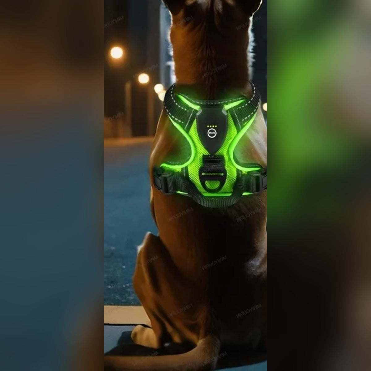 Vorlia · Arnés para perros con tira de luz LED verde recargable (2)