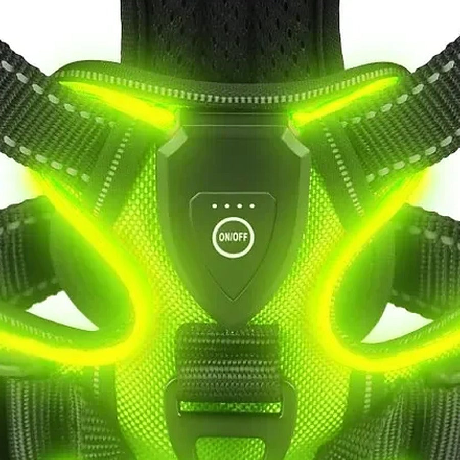 Vorlia · Arnés para perros con tira de luz LED verde recargable (3)