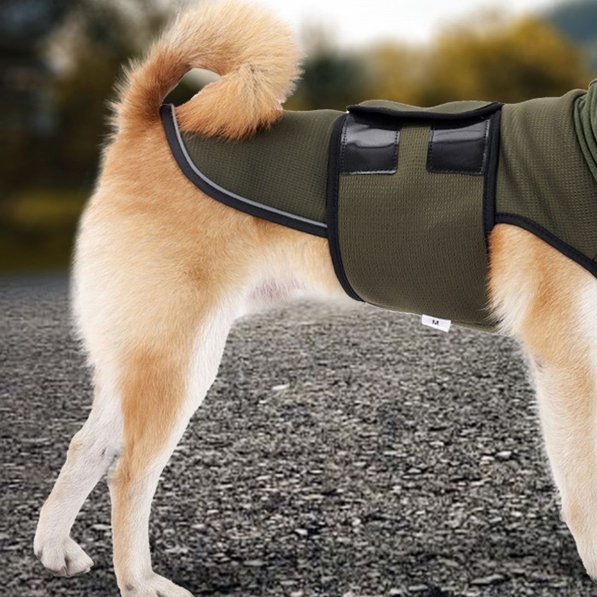 Vorlia · Chaleco antiestrés verde con capucha para orejas para perros (2)