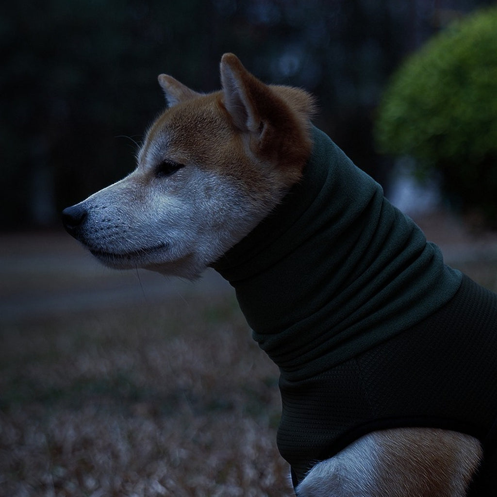 Vorlia · Chaleco antiestrés verde con capucha para orejas para perros (3)