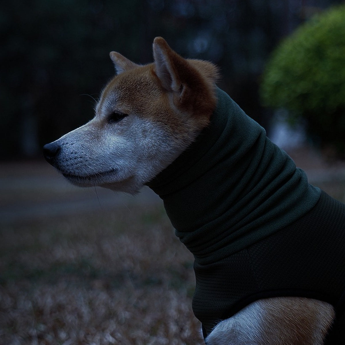 Vorlia · Chaleco antiestrés verde con capucha para orejas para perros (3)
