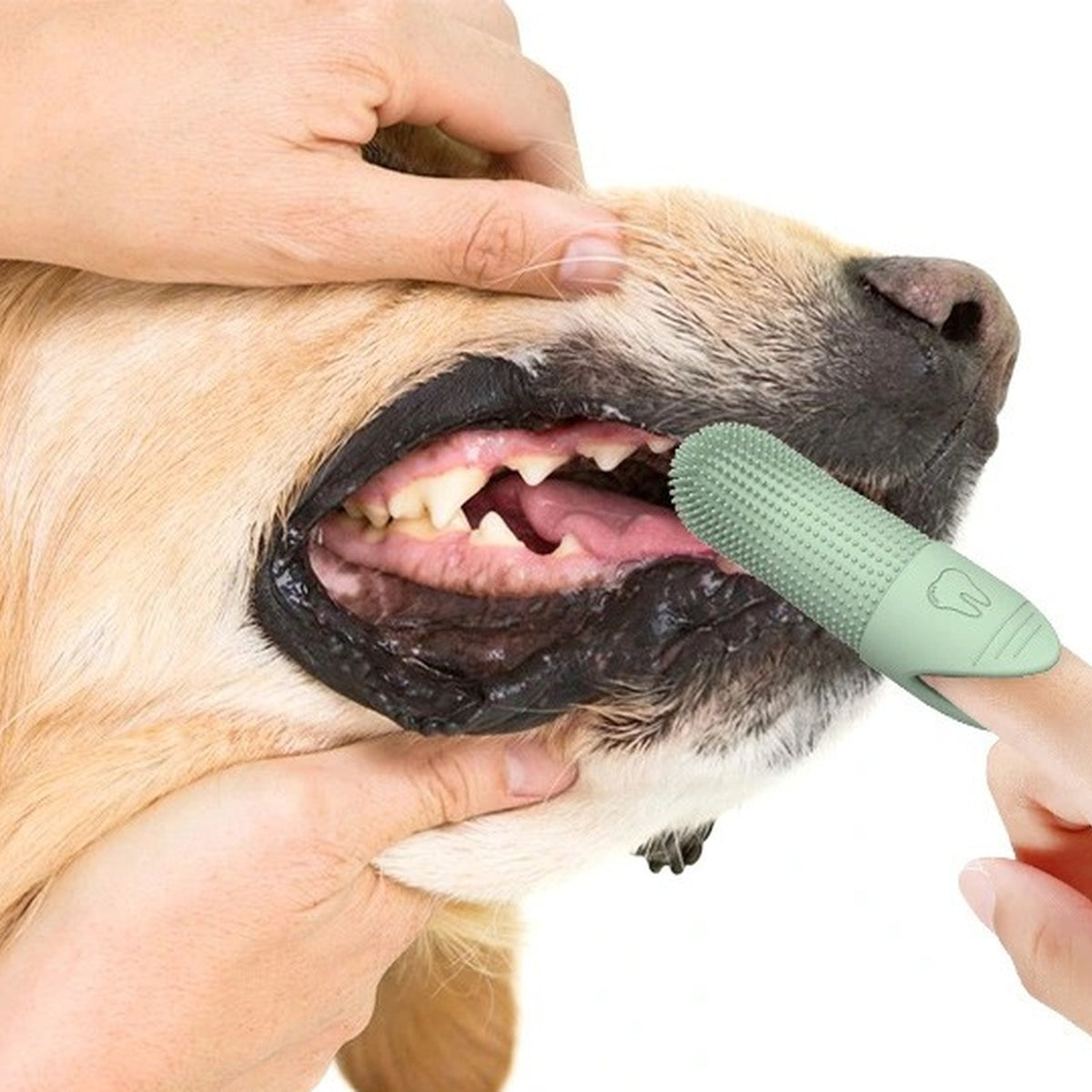 Vorlia · Cepillo de dientes de dedo de silicona verde con cerdas 360 grados (2)