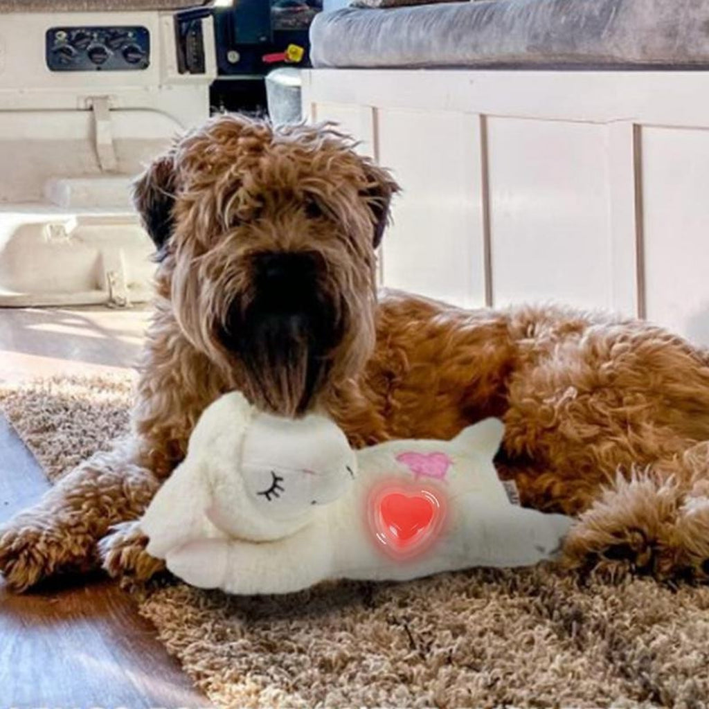 Vorlia · Corazón rojo que simula el latido para meter en un peluche (3)