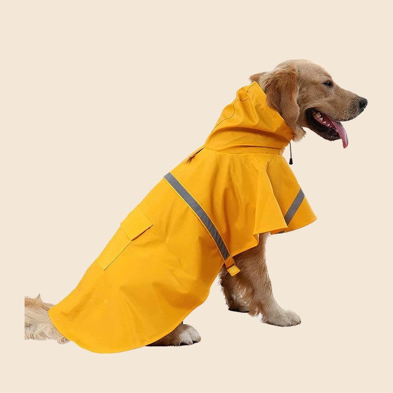 Perro con chubasquero amarillo con capucha y banda reflectante